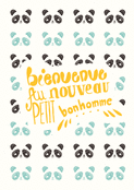 Panda doux pour accueillir b&eacute;b&eacute; gar&ccedil;on